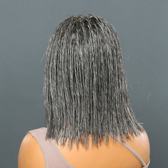 Salt And Pepper Braided Hairstyles Wigs Micro Senegalese Twists Wig for Black Women
