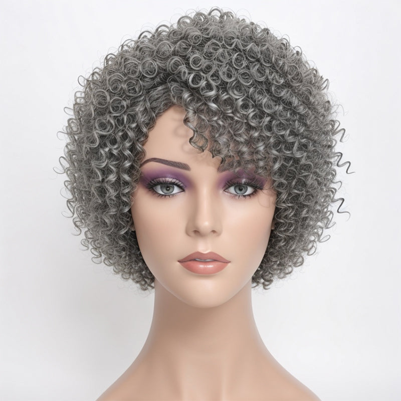 Salt & Pepper Glueless Kinky Curly Wigs Human Hair Wigs for Black Wome